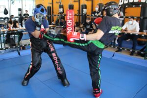 WAKO Swiss Ringsports Chikudo Martial Arts Sportcenter Lampert Kickboxen Liechtenstein 2